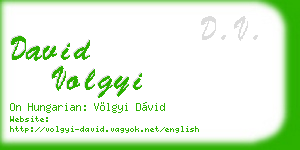 david volgyi business card