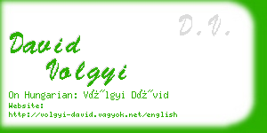 david volgyi business card